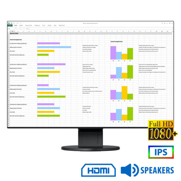 Used Monitor FlexScan EV2456 IPS LED/Eizo/24``FHD/1920x1200/Wide/Black/w/Sreakers/D-SUB & DVI-D & DP