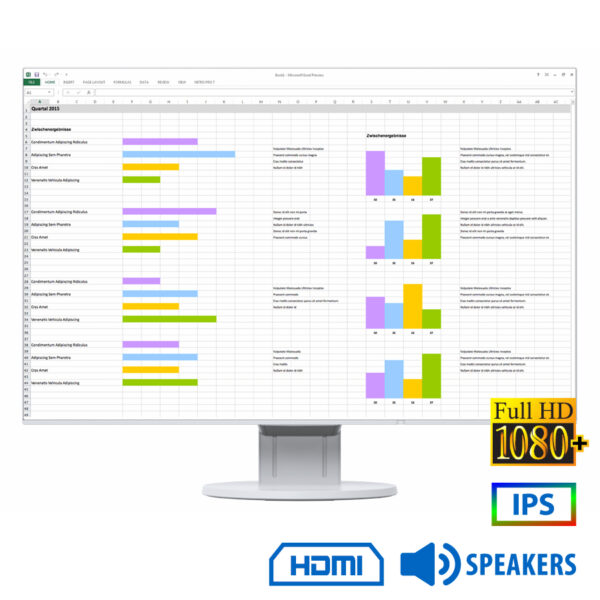 Used Monitor FlexScan EV2456 IPS LED/Eizo/24\"FHD/1920x1200/Wide/White/w/Sreakers/D-SUB & DVI-D & DP