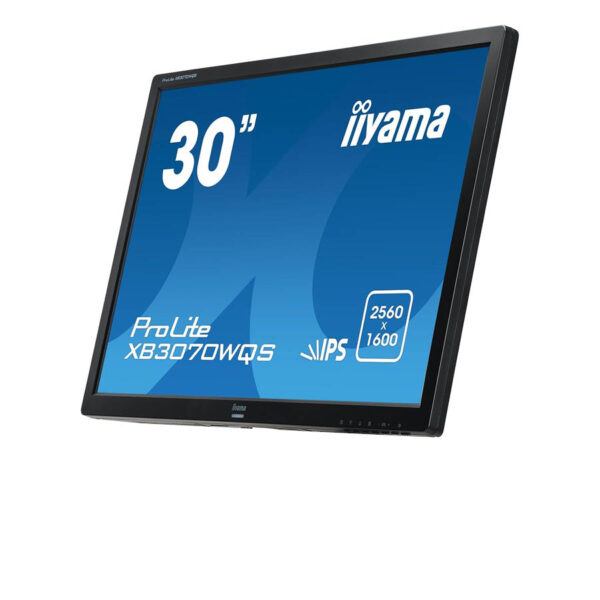 Used Monitor XB3070WQS IPS LED/IIyama/30\"FHD/1920x1080/Wide/Black/w/Speakers/No Stand/D-SUB & DVI-D - Image 2